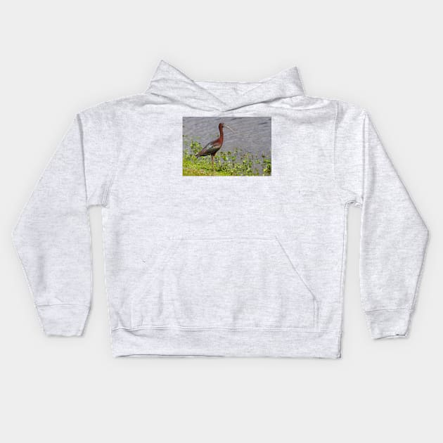 Glossy Ibis Kids Hoodie by Jim Cumming